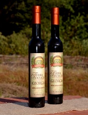 Terra Dolce Farms - Extra Virgin Olive Oil - Georgia Grown